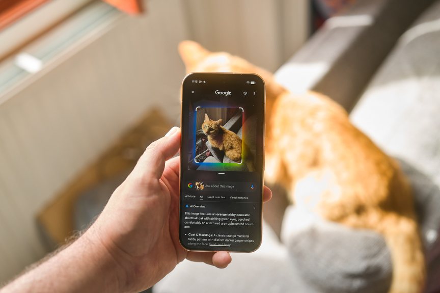 Image showing an AI overview of a cat