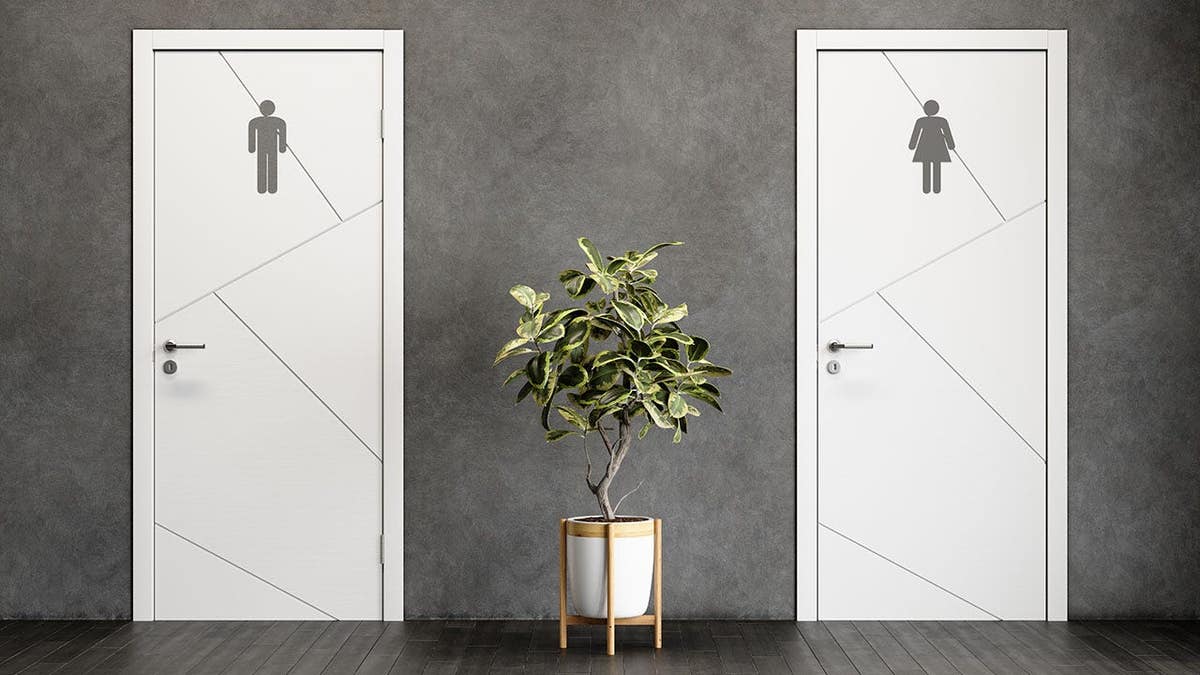 Restroom doors display male and female symbols beside a potted plant.