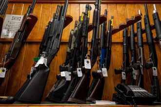 Gun rights groups capitalize after judge reverses decades-old restrictions: ‘Monumental’