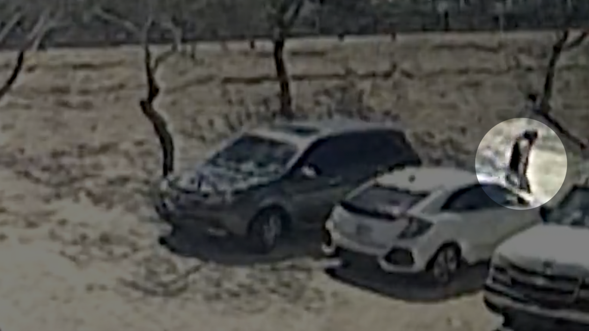 An unidentified man walks away from the abandoned suspect vehicle eyed in a shooting that left a Tucson police recruit dead and his correction officer fiancee hospitalized Wednesday morning.