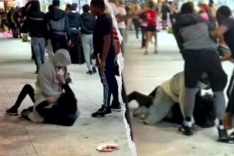 Massive brawl erupts at Wisconsin State Fair as seven arrested during chaotic closing hours