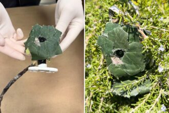 Insidious device found near SoCal home as cops issue urgent warning