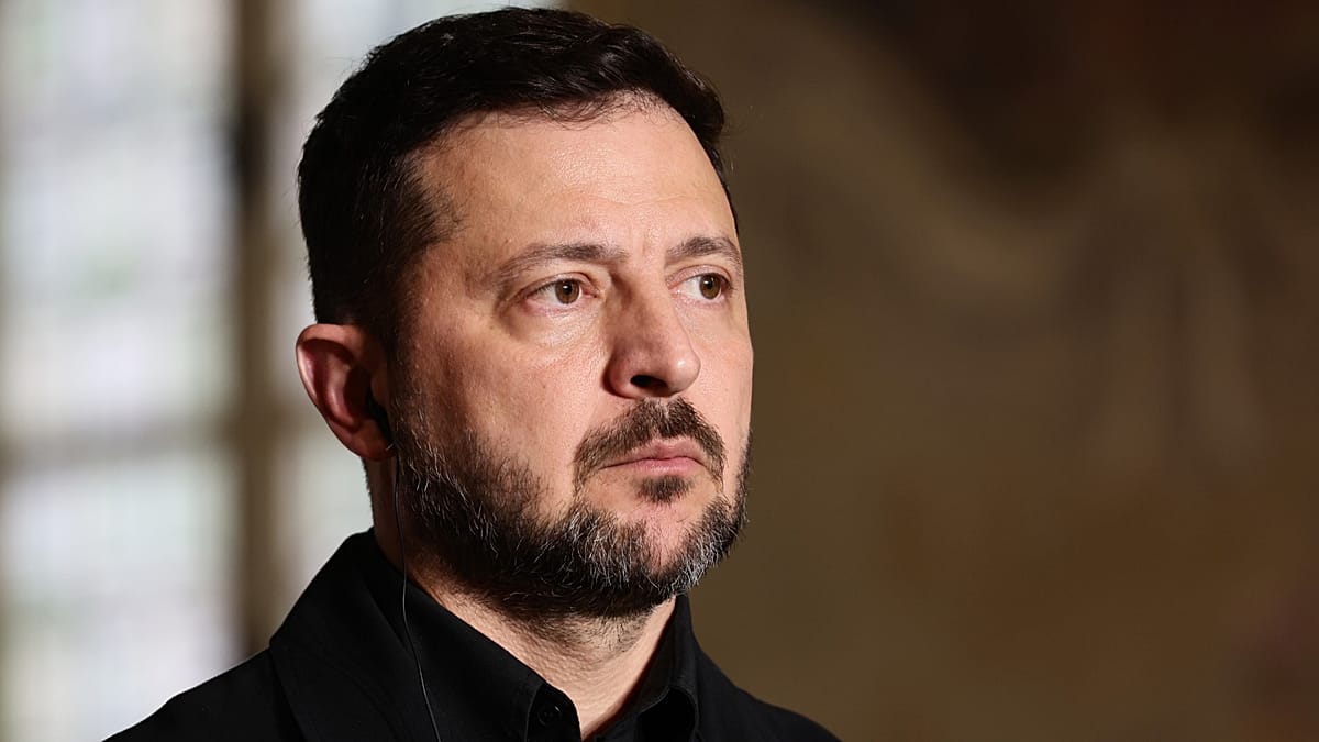 Zelenskyy asks EU to keep Usmanov and Fridman under sanctions
