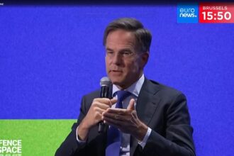‘There is no immediate threat to NATO territory,’ Rutte tells Euronews