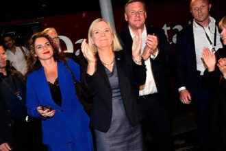 Sweden’s Social Democrat leader Andersson asked to form government