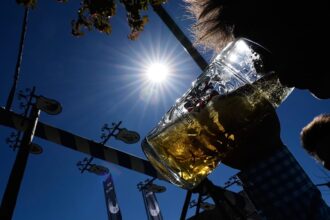 Heat and drought: Why beer at Oktoberfest could soon be in short supply