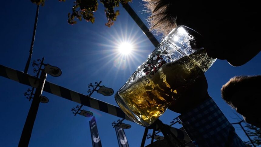 Heat and drought: Why beer at Oktoberfest could soon be in short supply