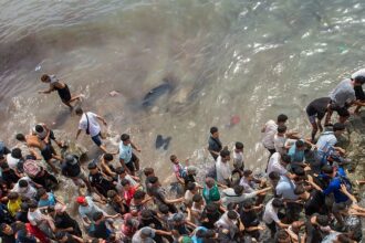 ‘Do you know where Ceuta is?’: EU Parliament erupts over migration