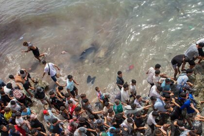 ‘Do you know where Ceuta is?’: EU Parliament erupts over migration