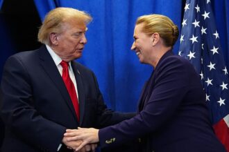 Trump says he’ll ‘control’ Greenland after deal reached, is he right?