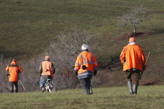 French billionaire Olivier Bouygues on trial in illegal hunting case