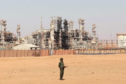 Germany eyes Algerian gas to diversify supply, foreign minister says