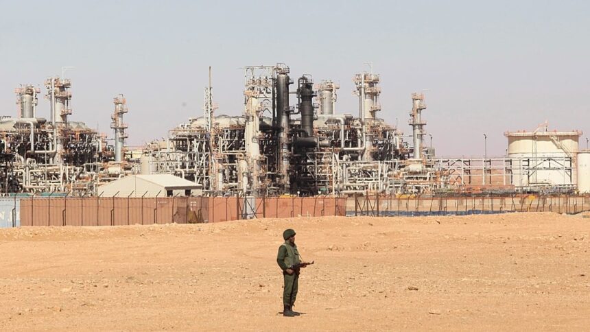 Germany eyes Algerian gas to diversify supply, foreign minister says