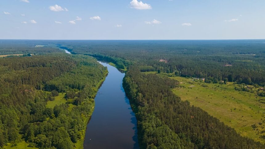 Russian man swims to Lithuania seeking asylum — just to be sent back