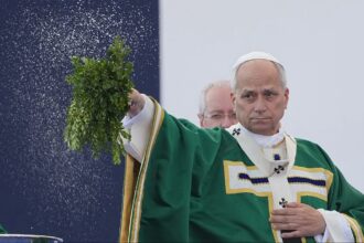 Pope Leo XIV calls for Church to continue fight against sexual abuse