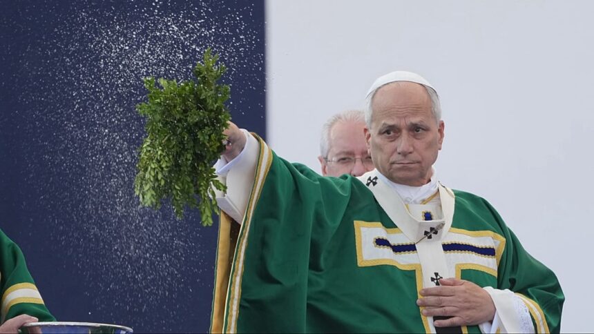 Pope Leo XIV calls for Church to continue fight against sexual abuse