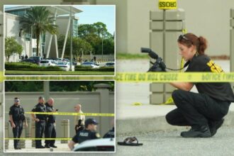 Florida woman, 70, opens fire inside police department lobby, chief says