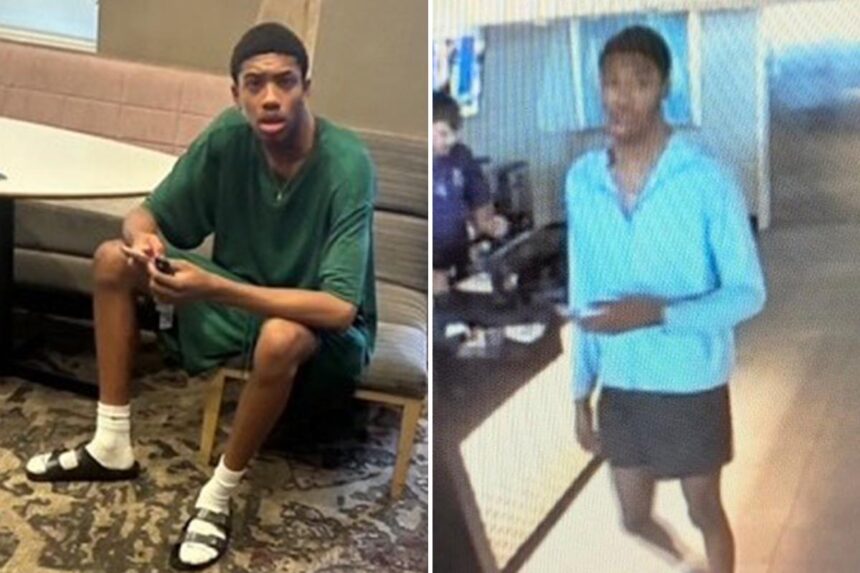 Man allegedly posing as pro basketball player steals ,000 BMW from Georgia hotel valet