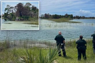 Child rushed to hospital after being savagely attacked by alligator in Florida on Labor Day
