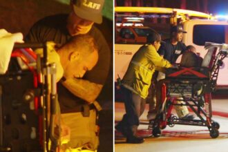 Swimmer vanishes in ocean off Venice Beach overnight — before miracle rescue