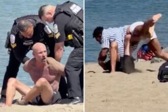 Wild brawl breaks out on California beach as martial artist describes violent dust-up: ‘ran into the wrong person’