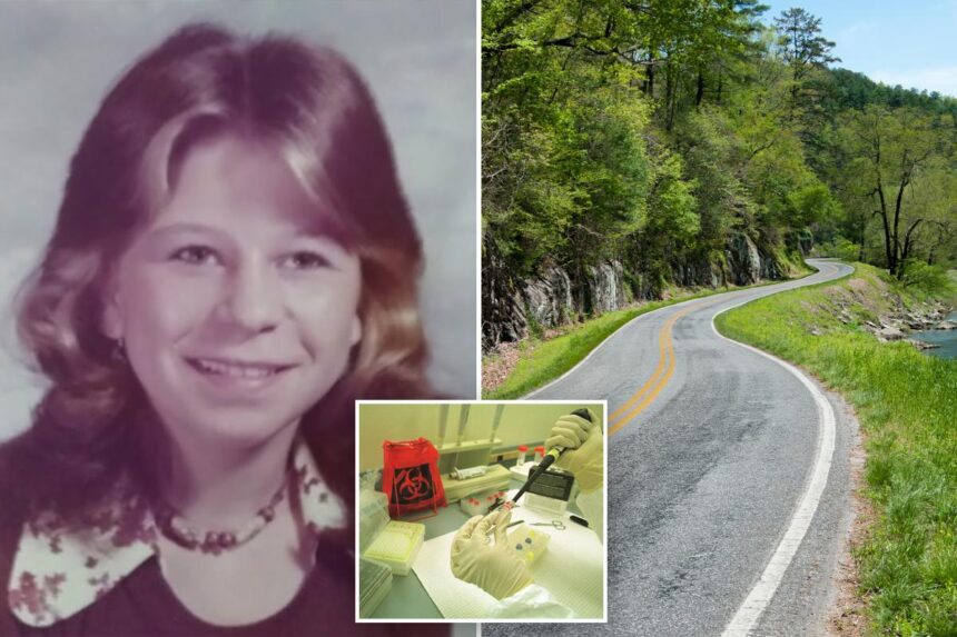 North Carolina cold case takes grim turn after remains identified as runaway 15-year-old girl missing since 1977