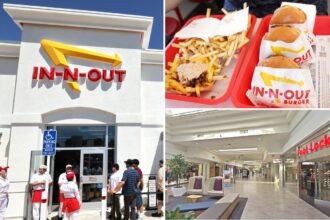 New In-N-Out Burger teased at popular Northern California mall as fans salivate