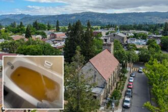 California’s St. Helena claims it’s being ‘poisoned’ by tap water