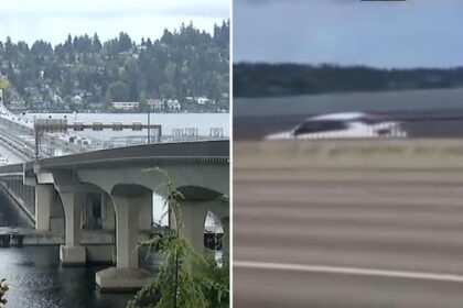 Wild video shows car speeding down separated bike lane along major California freeway