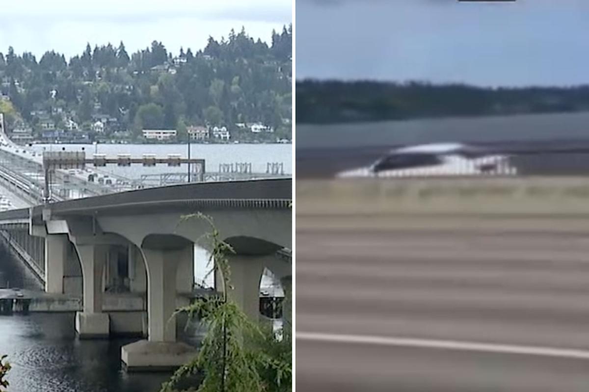 Wild video shows car speeding down separated bike lane along major California freeway