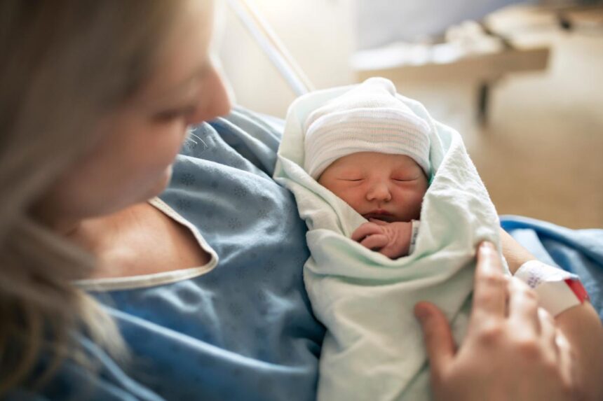 US fertility rate plummets by a quarter in less than 20 years — and 25% of births are now to immigrant women