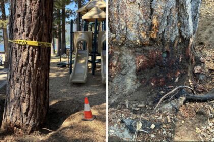 Billionaire’s playground offers 7K to unmask mystery poisoning suspect