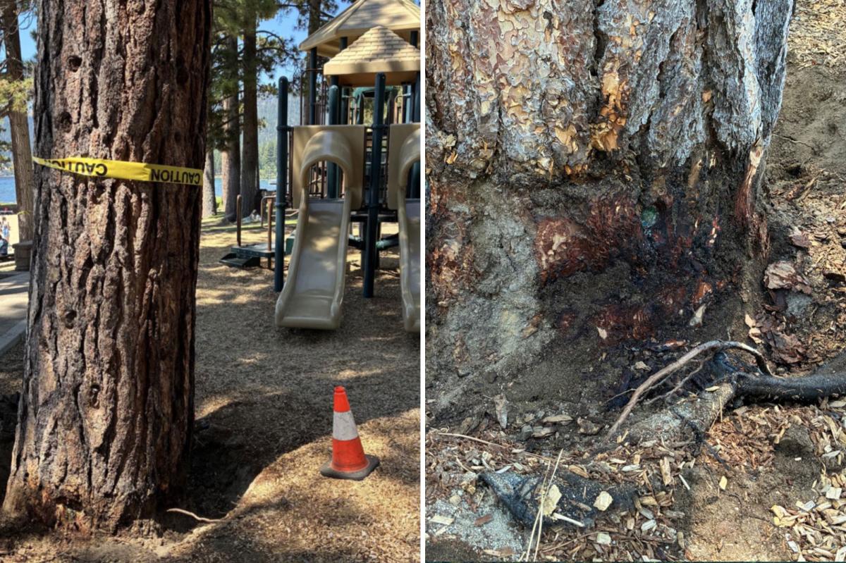 Billionaire’s playground offers 7K to unmask mystery poisoning suspect