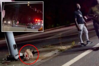 Maryland DoorDash customer picks up order from driver at crash scene: ‘I think that’s my food right there’