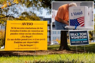 White House pushes purge of non-citizens from voter rolls ahead of midterms: report