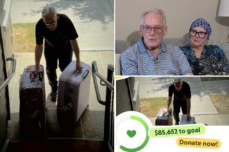 Texas delivery driver Donald Johnson’s viral 0K fundraiser taken down after organizer revealed to be his daughter