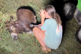 Georgia cop kills beloved pet donkey in his own pasture as heartbroken owner demands justice: ‘We miss him’