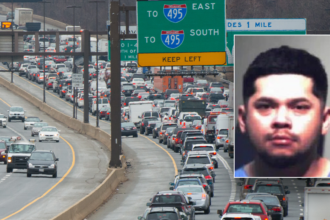 ICE lodges detainer for illegal immigrant charged in wrong-way Maryland crash that killed mom, daughter