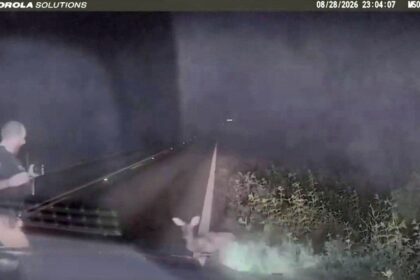 Texas deputy screams and runs after ‘dead’ deer springs to feet in viral encounter