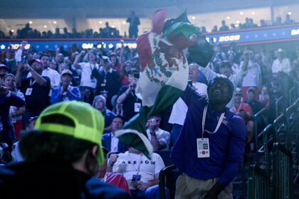 Crowd erupts as Vance smacks down protester waving Mexican flag: ‘Get your a– over there’