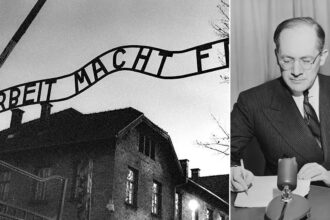 Family member of lawyer who coined ‘genocide’ seeks to strip name from group accusing Israel of atrocity
