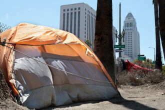 LA homelessness fraud cases expose deeper problem than stolen millions, oversight hawk warns