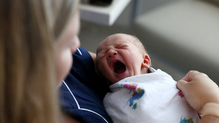 Massachusetts’ plan to offer postpartum screening home visits sparks online debate