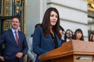 Former news anchor working for California Democrat arrested by immigration authorities at Las Vegas airport