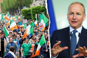 Irish PM says Ireland ‘not overrun’ by immigrants, legal migration tied to economic success