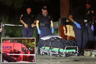 Woman’s body discovered in trash can near quiet NYC beach