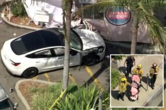 Horror as Tesla crashes near busy LA Trader Joe’s killing one and injuring others