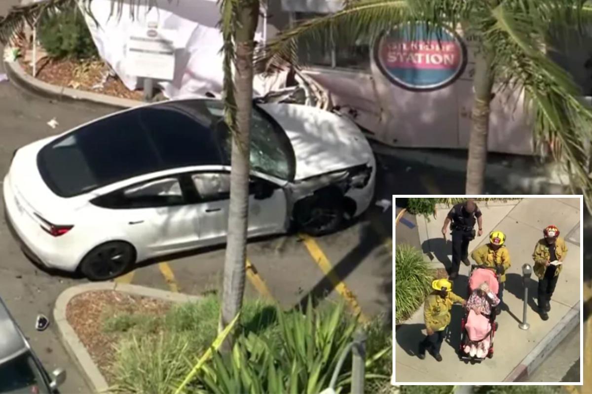 Horror as Tesla crashes near busy LA Trader Joe’s killing one and injuring others