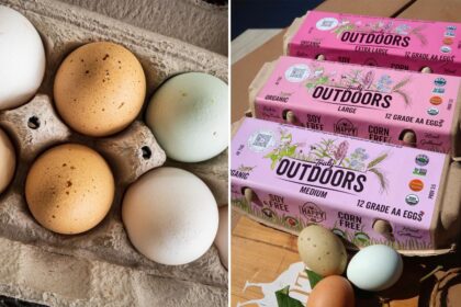 California farm issues urgent egg recall over salmonella fears