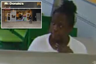 Crazed woman who tried to kidnap 4-year-old on NYC street arrested